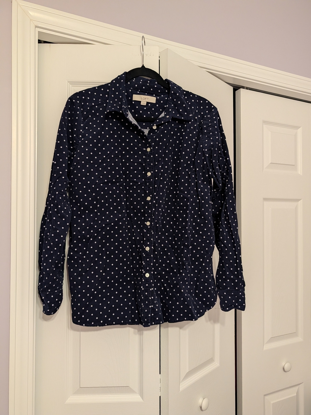 LOFT Navy Polka Dot Button-Down Shirt